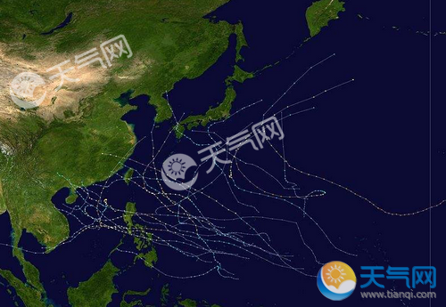 台风最新动态与路径分析报告