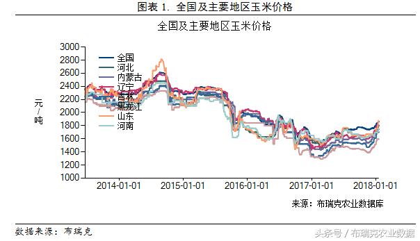 玉米价格最新行情解析