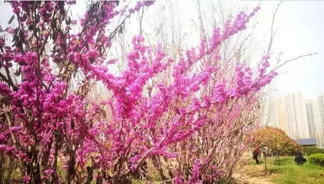 探索未知与引领未来的交汇点，最新地址揭秘