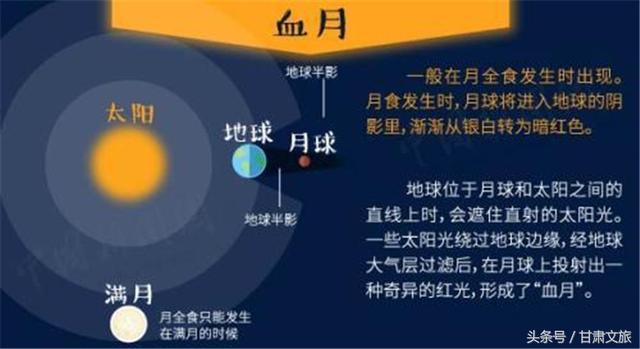 澳门今晚开什么特别号码,创造力策略实施推广_Android256.183