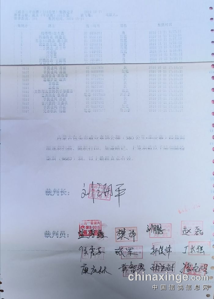 威业赛鸽公棚最新公告发布