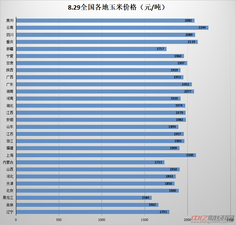 最新玉米价格动态与全球市场的联动影响分析