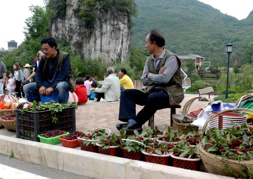 六枝嘉年华盛大活动即将启幕，最新消息抢先看