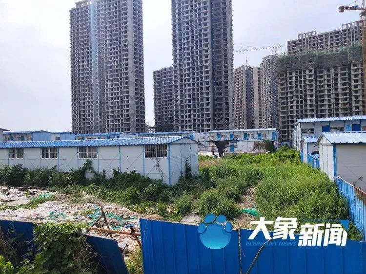 长江路启福城最新动态深度解析