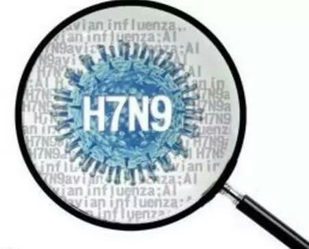 H7N9禽流感最新疫情报告，人数、现状、防控措施引发全球关注