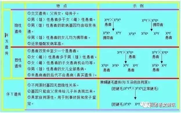 2024年管家婆的马资料,符合性策略定义研究_BT11.321