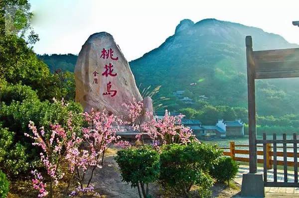 木洞桃花岛新篇章揭秘，最新进展揭开神秘面纱