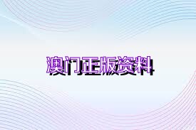 新澳门免费资料大全精准版,精细分析解释定义_VR13.64