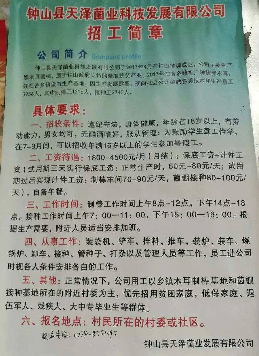 芦台三分厂最新招工信息详解