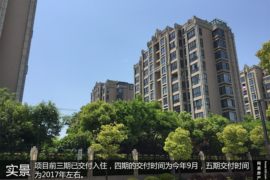 一品漫城五期最新价格动态与市场影响力深度解析