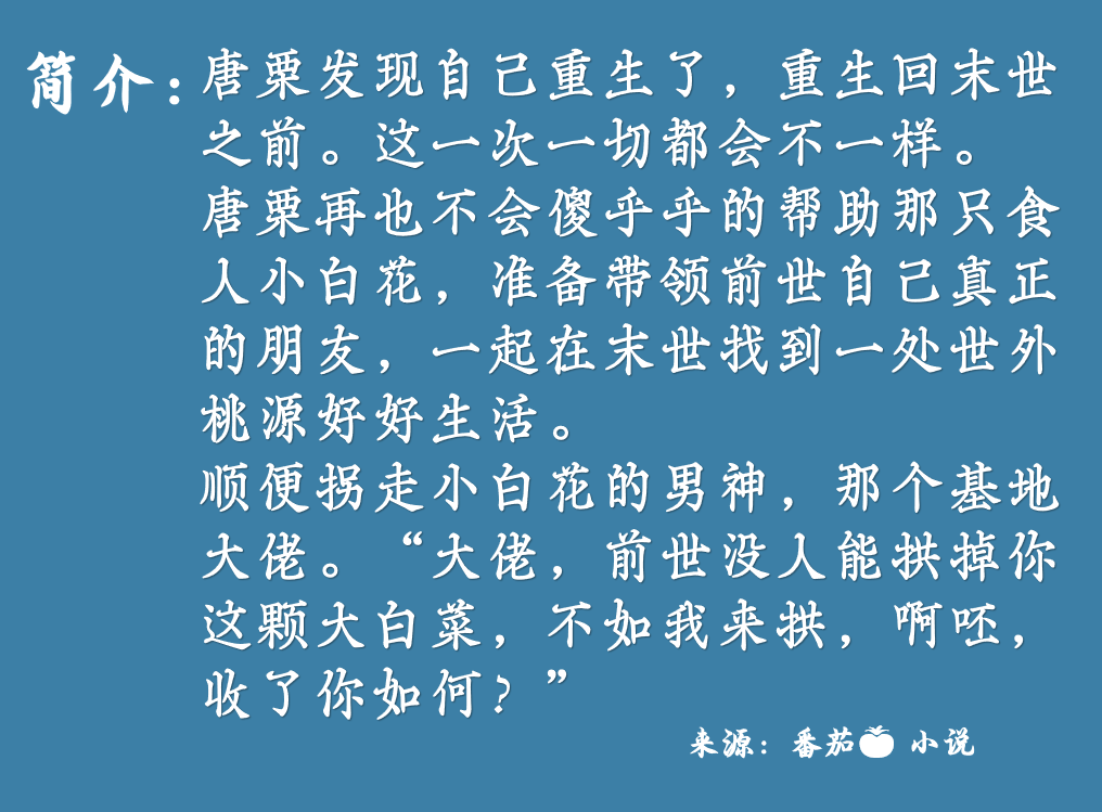 穿越时光的深情邂逅，苏青青与赵云峥全文免费阅读