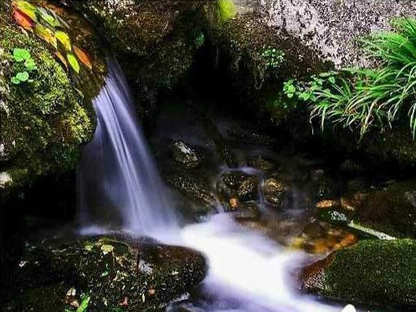 九龙沟风景区最新动态概览