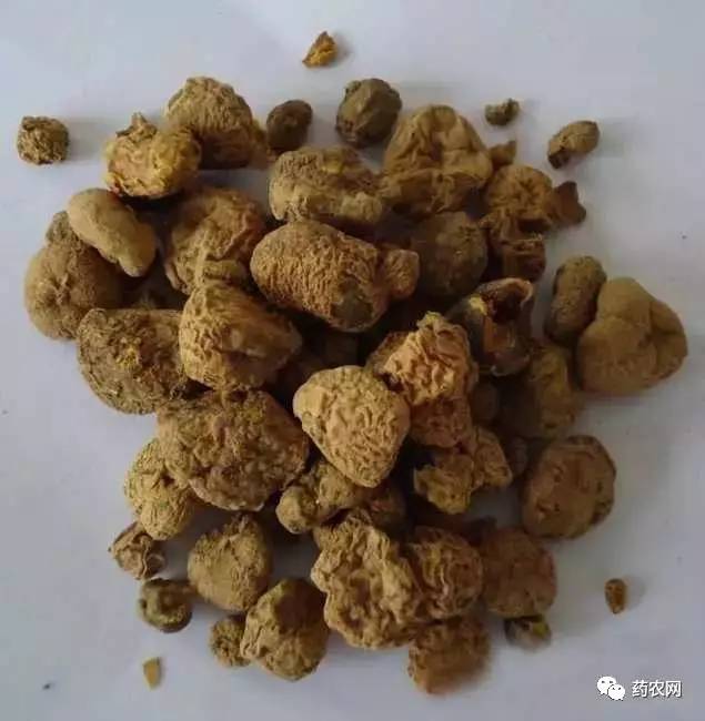 芍药价格解析，十九里白芍最新价格揭晓