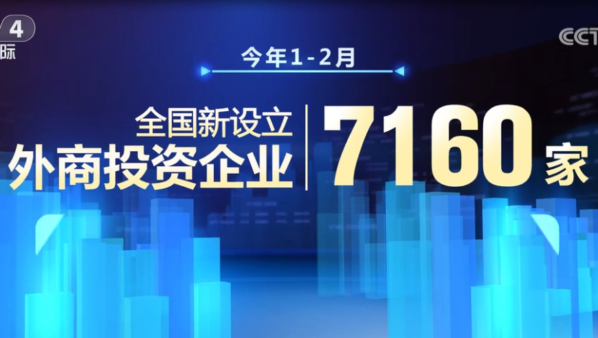 2024澳门正版资料大全,资源整合策略实施_X版10.314