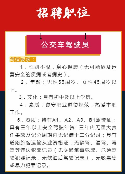 海安司机最新招聘信息及分析概览