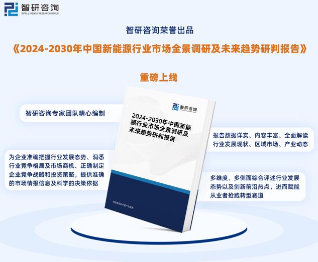 2024新奥全年资料免费公开,性质解答解释落实_tShop12.895