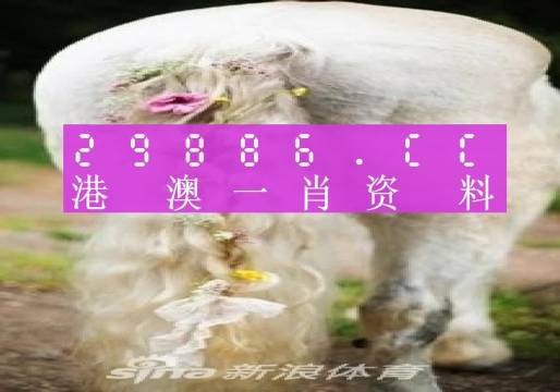 澳门一肖一码资料_肖一码,现状解答解释定义_AP65.657