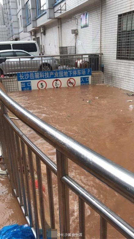 长沙洪水最新动态，城市挑战与应对策略