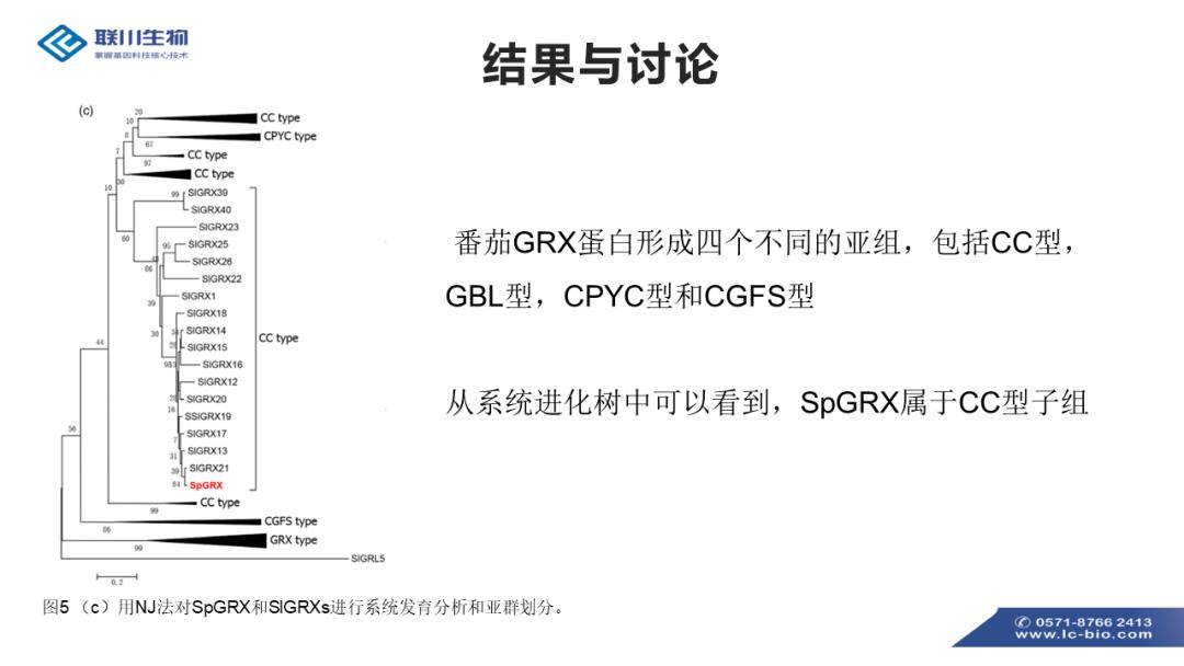 626969澳彩资料大全2022年新亮点,高效性实施计划解析_Pixel18.521