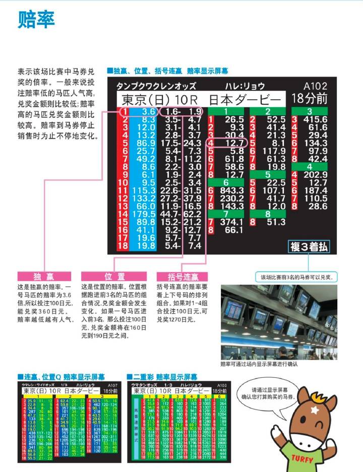 132688am马会传真查询,快速响应执行方案_桌面版45.177