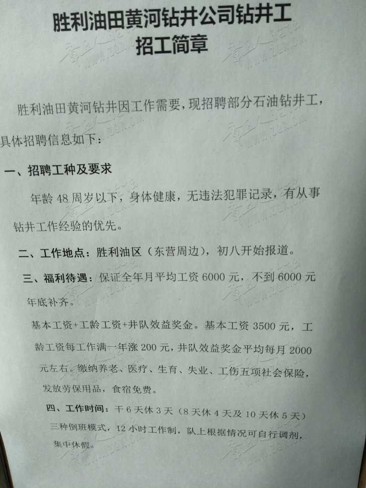 南阳油田最新招聘信息详解及解读