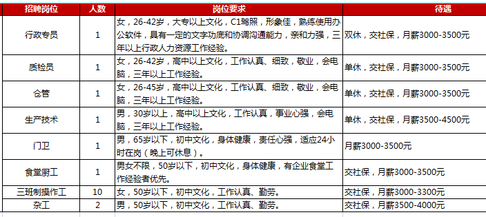 新洲最新岗位概览，招聘职位一览无余