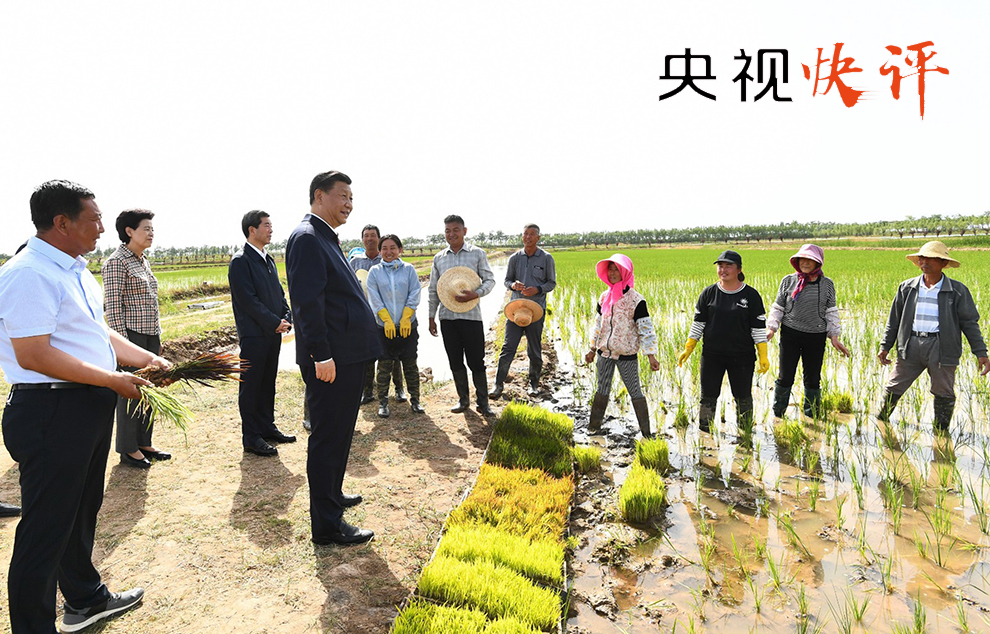 柴坪村民委员会交通新闻更新