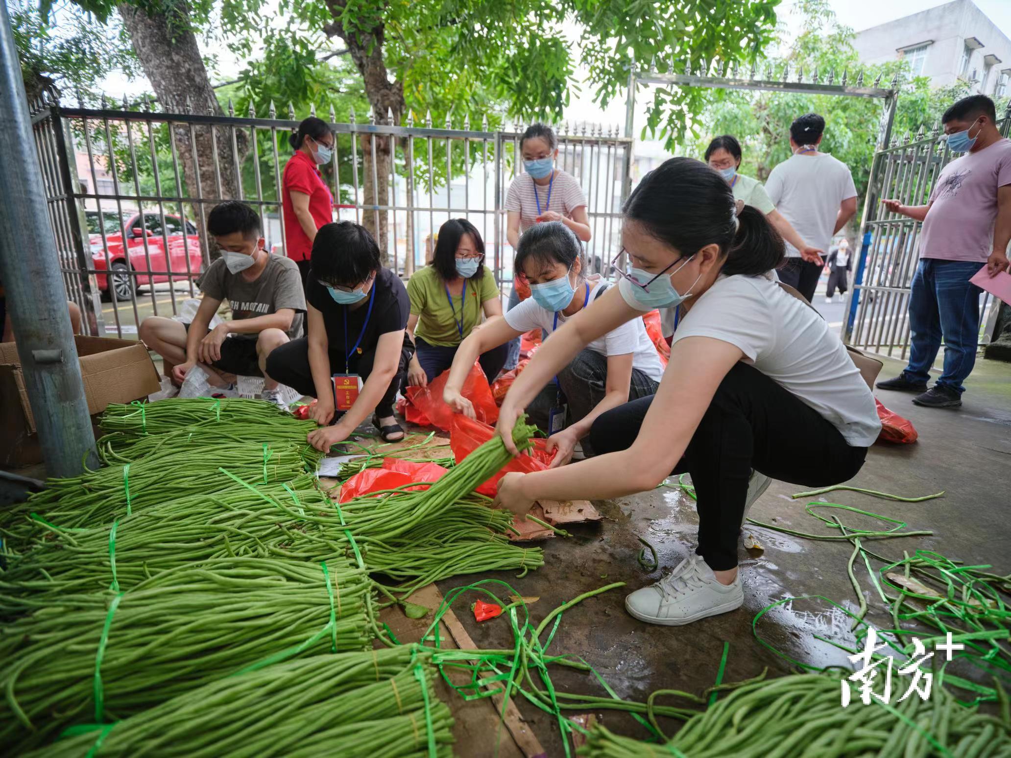 湛江市粮食局最新动态报告发布