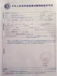 广水市防疫检疫站人事大调整，构建更坚实的防疫体系