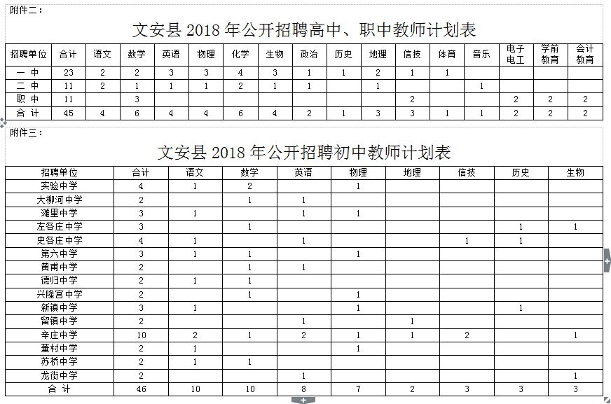 文安县小学最新招聘公告概览