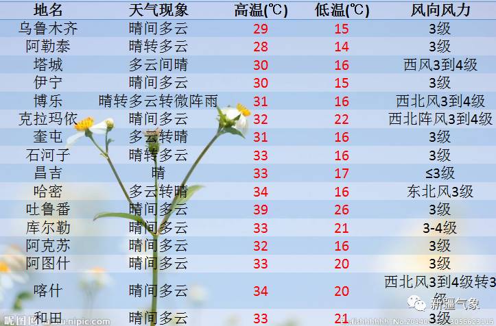 口岸街道最新天气预报及其对生活工作的影响