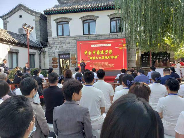 历下区卫生健康局引领未来发展规划，塑造健康新篇章