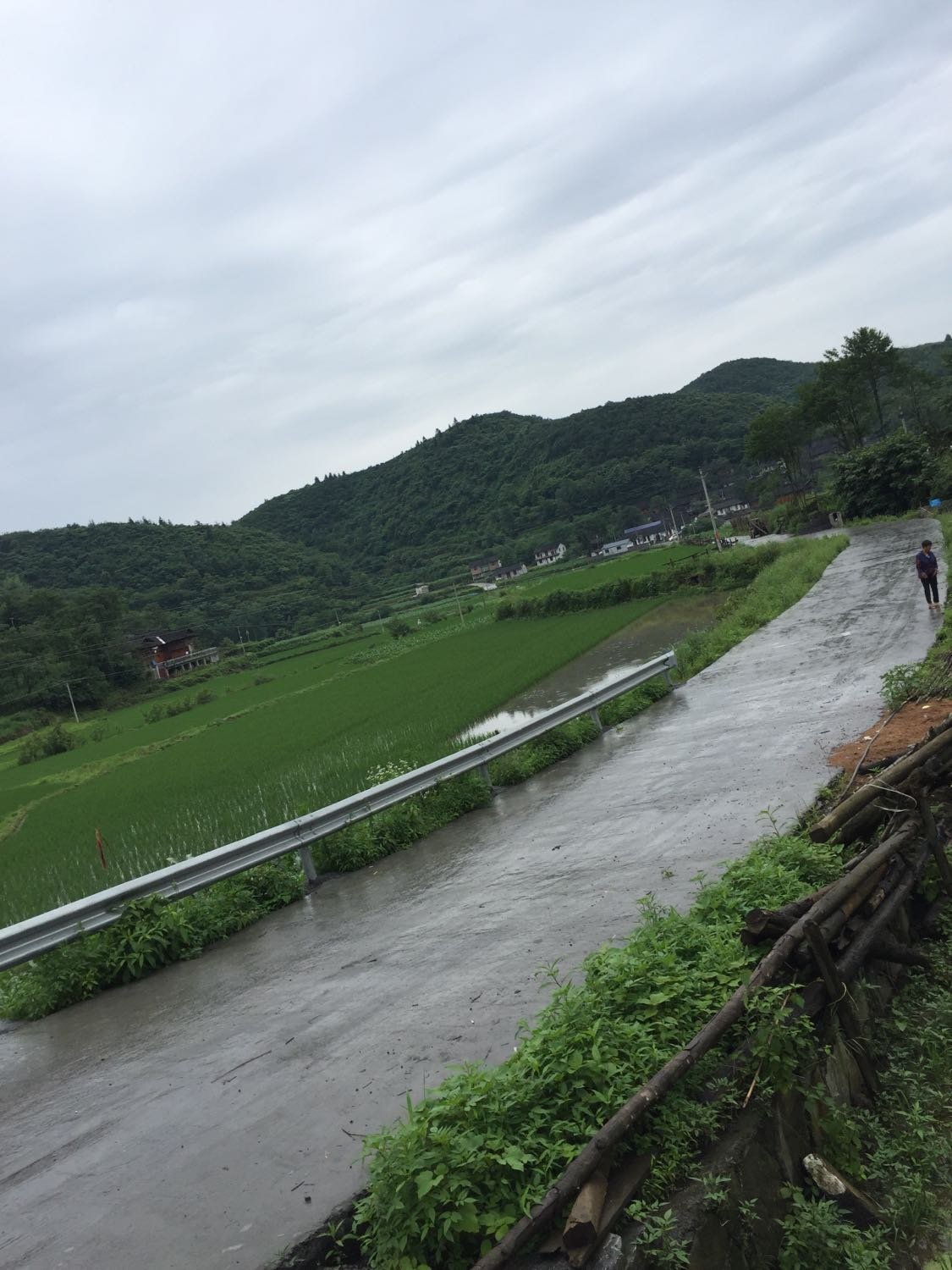 玄马村委会天气预报更新通知