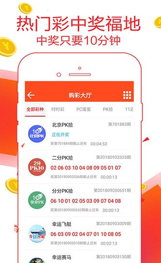 澳门王中王100%的资料2024,全面应用分析数据_BT21.273