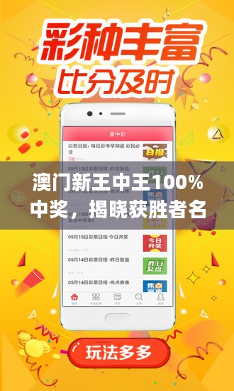 澳门王中王100%期期中,实地解答解释定义_特供版171.315