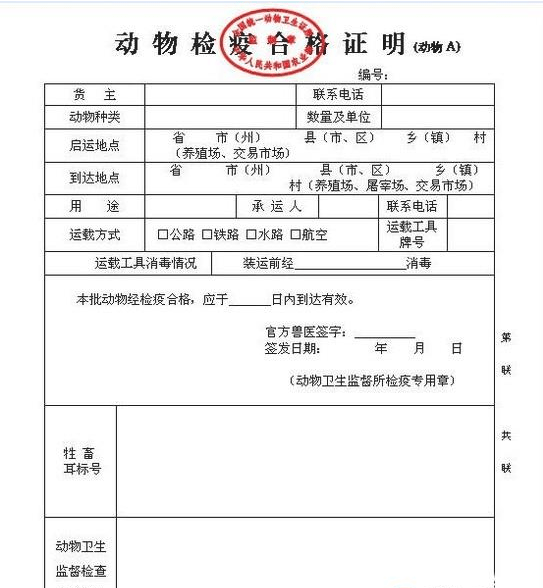 吐鲁番市防疫检疫站人事任命动态更新