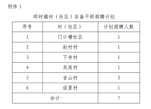 毛城村委会招聘启事及未来工作展望