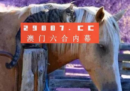 澳门一一码一特一中准选今晚,真实数据解析_高级款51.387