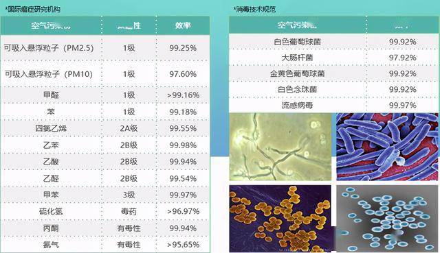 澳门正版资料大全资料生肖卡,深度解答解释定义_HT20.625