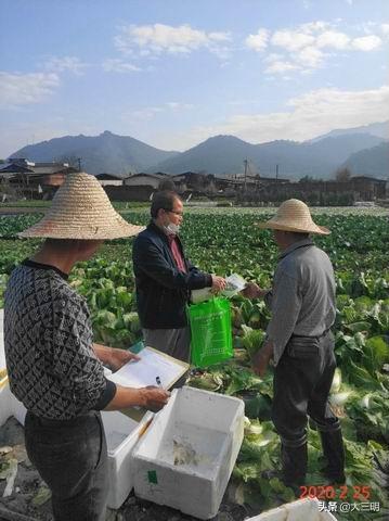 三元区发展和改革局推动区域经济发展，实现可持续发展新动态