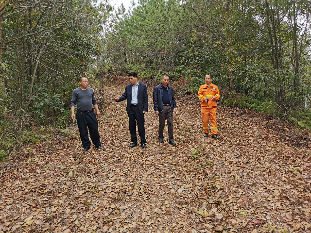 湘乐林场最新动态报道