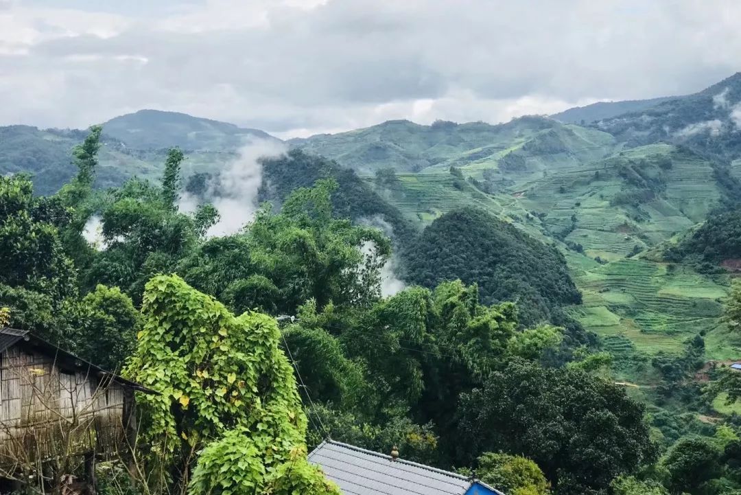 雅卧村重塑乡村魅力，引领地方发展新篇章启动