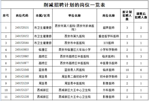 青云谱区级托养福利事业单位发展规划展望