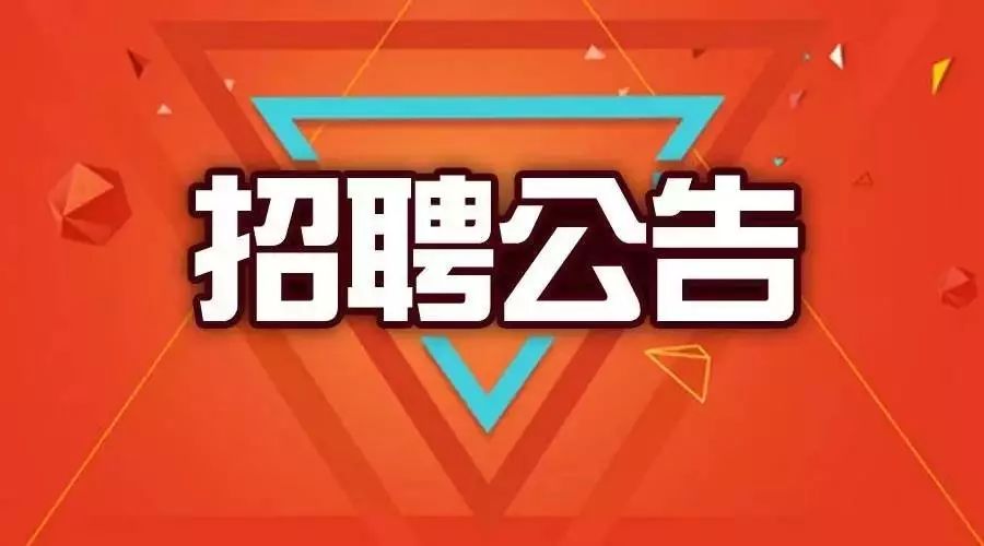 威县初中最新招聘信息详解与相关内容探讨