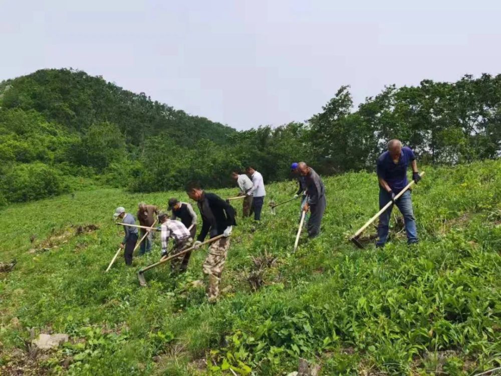 孜拉岗村新项目，乡村振兴的新引擎