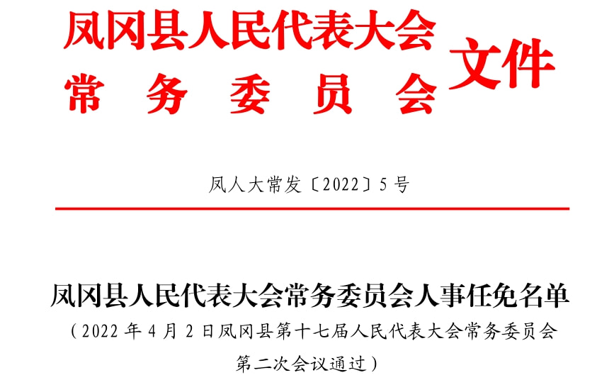 凤冈县审计局人事任命揭晓，塑造未来审计新篇章