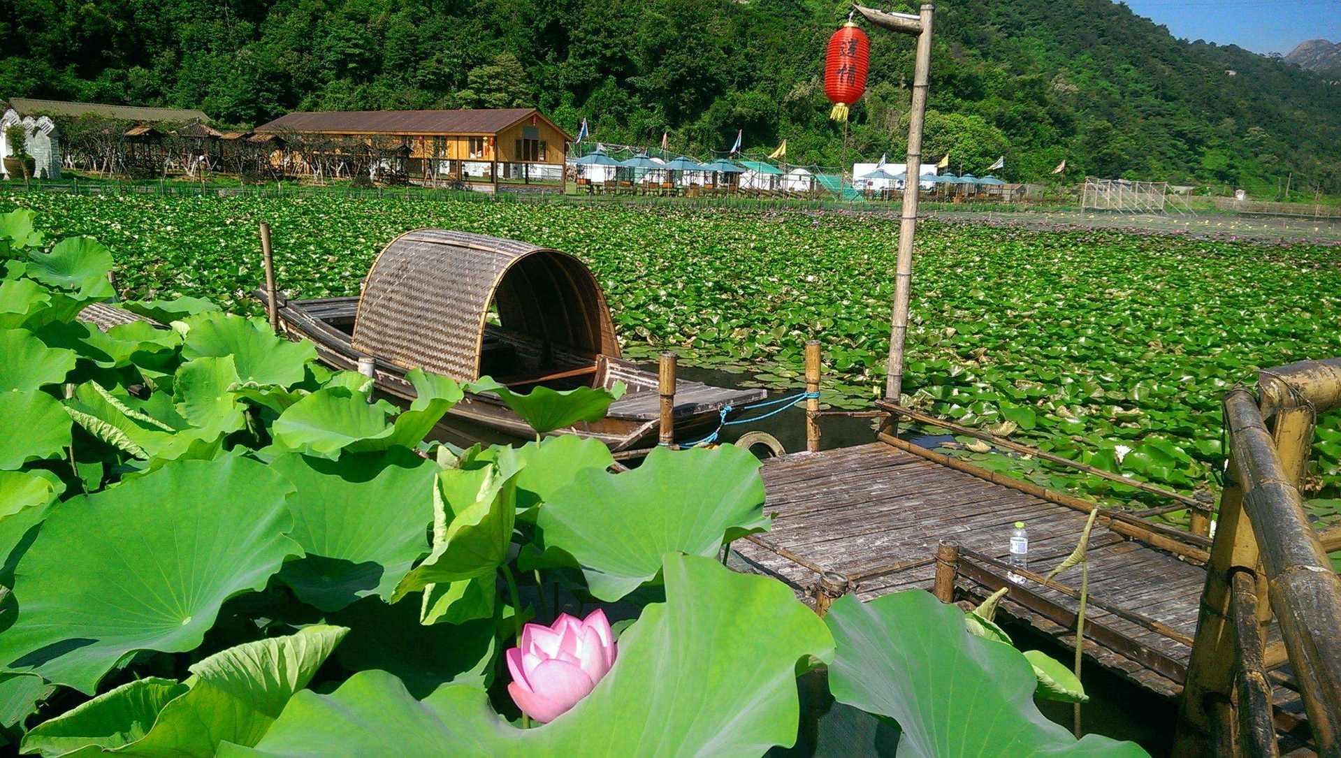 永中街道最新项目，先锋力量引领城市发展之路