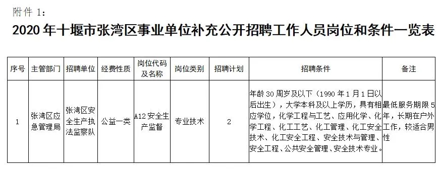 张湾区数据和政务服务局招聘公告详解