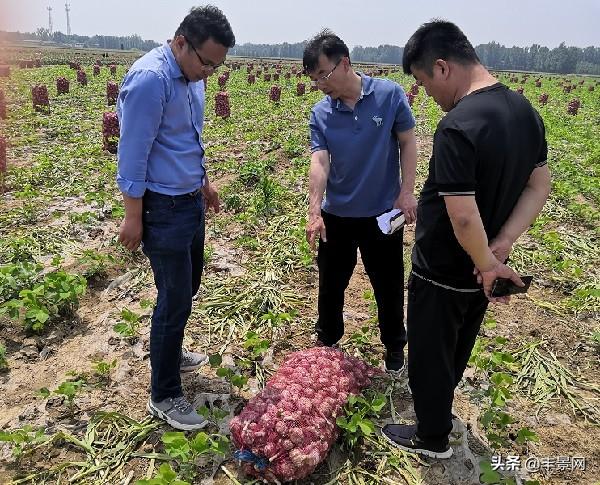 汶上县住房和城乡建设局最新资讯动态概览